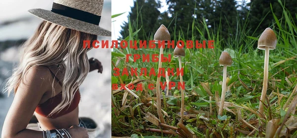 ПСИЛОЦИБИНОВЫЕ ГРИБЫ Армянск