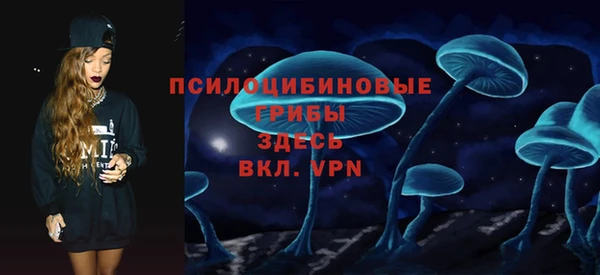 ешки Аркадак