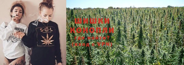 PSILOCYBIN Арсеньев