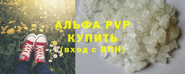 ешки Аркадак