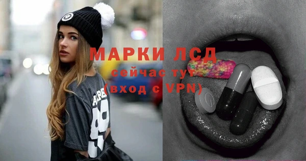 ешки Аркадак