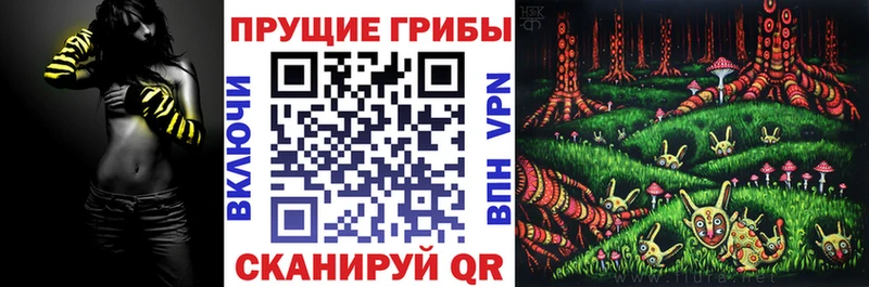 где можно купить   Микунь  Псилоцибиновые грибы Psilocybine cubensis 